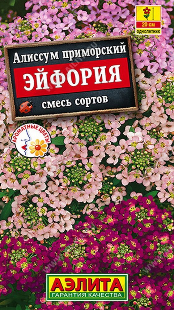 Алиссум &quot;G. Эйфория&quot; 0.05г., Россия.