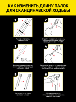 Палки скандинавские BERGER Explorer 3-секц., 67-135 см
