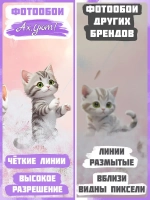 3D Детские фотообои милые котики и одуванчики