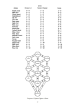 История оккультного таро