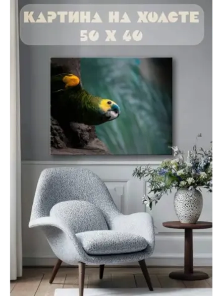 Картина на стену 40 X 50 Попугай