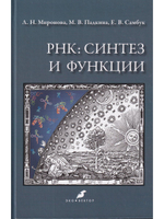 РНК: синтез и функции
