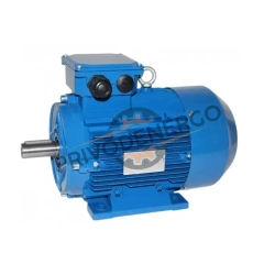 Электродвигатель общепромышленный АИР 100S4 3кВт 1500об/мин 1081 (лапы)