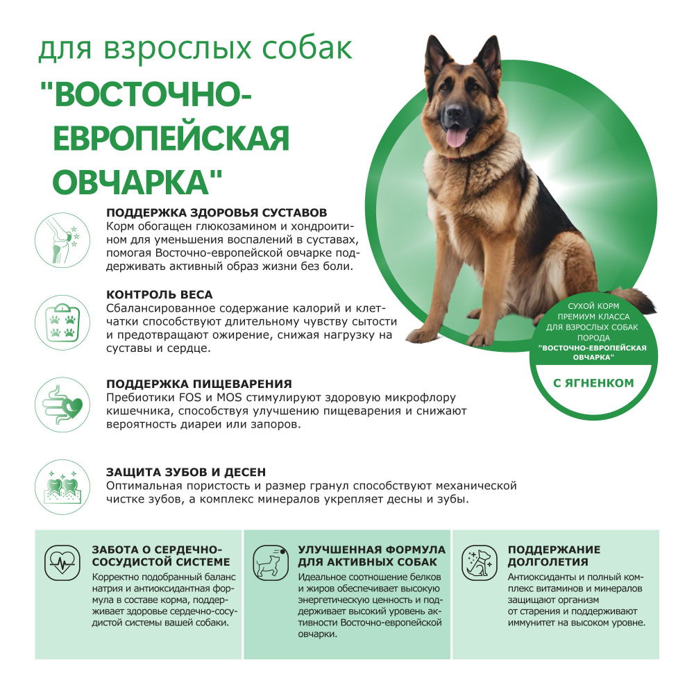 Корм сухой для взрослых собак породы Восточно-европейская овчарка, с ягненком, 12 кг, QUATTRO