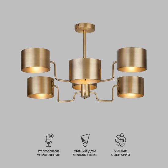 293/6 / подвесной светильник Smart