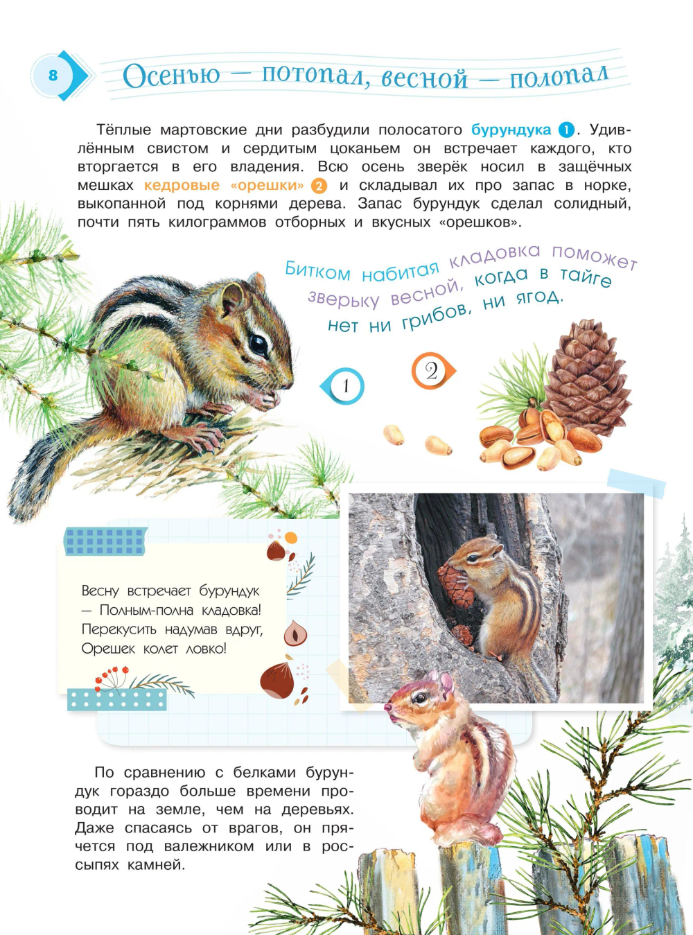 Энциклопедия для мальчиков и девочек. Наша природа