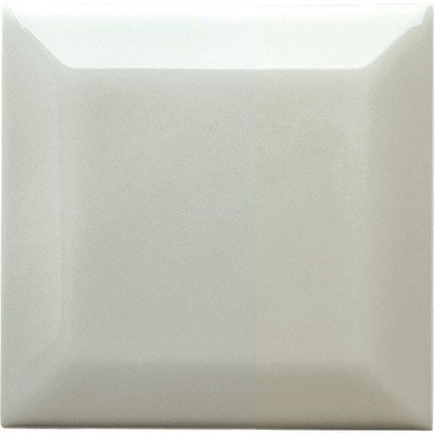 Керамическая плитка для стен ADEX NERI Biselado PB Silver Mist