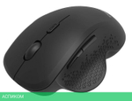 Мышь Philips SPK7624B/97 черный