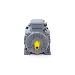 Электродвигатель ESQ PR 132 M4 GST-Б3-S12-IE2 230/400V 11/1500 IM1081