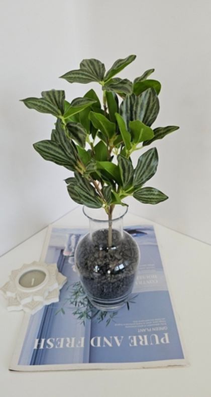 Традесканция реал тач мини / Арт 6362