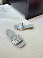 Christian Dior Dway Slide (11 colors)