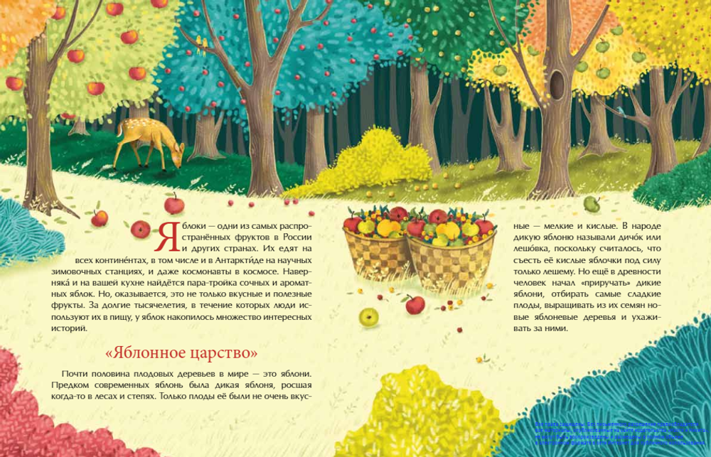 Эх, яблочко! Неизвестные истории известного фрукта