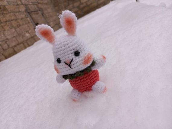 Toxunma Al Yanaqlı Dovşan