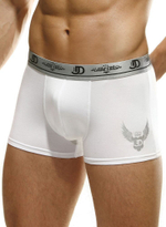 Мужские трусы-боксеры с эмблемой (Размер: L) (Цвет: темно-синий)