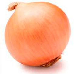 Эвейшн F1 семена лука репчатого (Sakata / Саката)