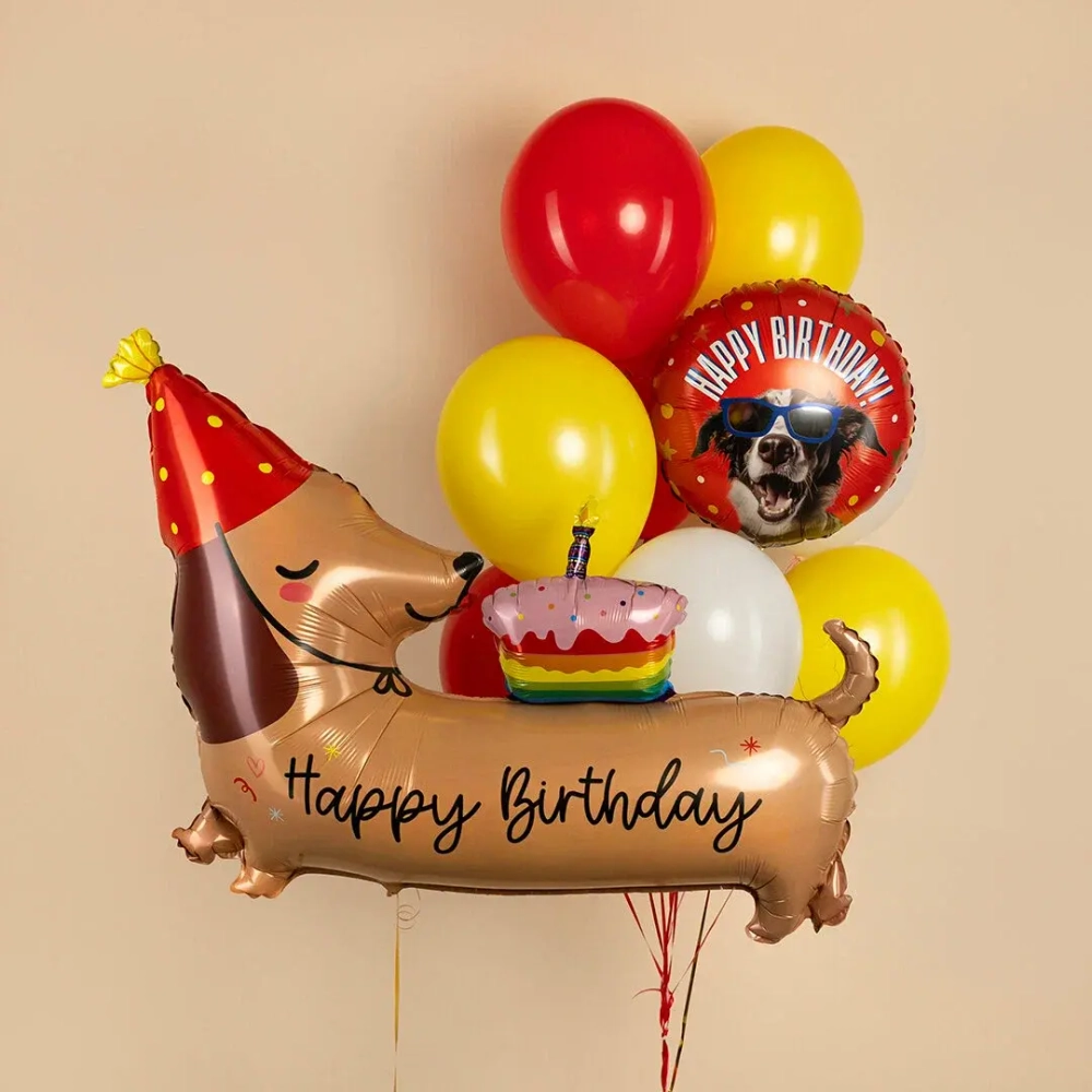 Фольгированный шар-фигура «Happy Birthday. Такса в колпаке», 109 см