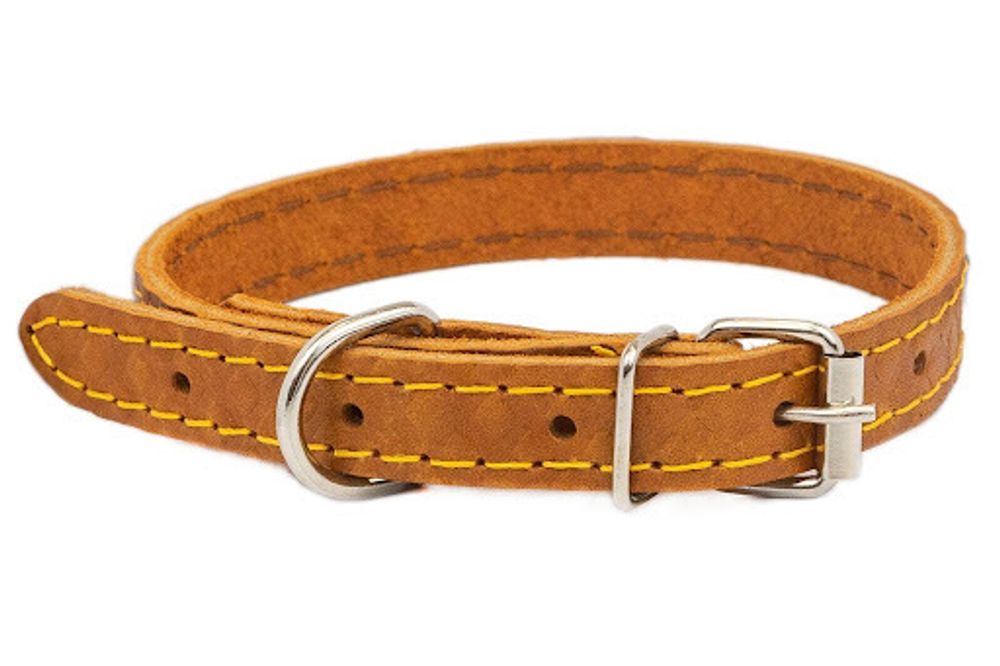 Ошейник Боттега из кожи простроченный для собак 20 мм обхват шеи 23-33 см.