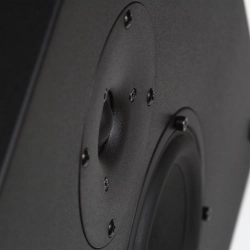 Radiotehnika Vita 2.02 Black Ash двухполосная настенная акустика