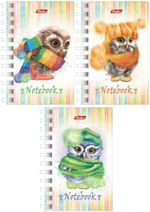 Карандаши (мелки) пластиковые JOVI 24цв., шестигранные, картон, европодвес