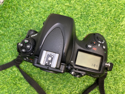 Nikon D800 (12.100 кадров)