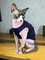 Одежда для кошек сфинкс и собак