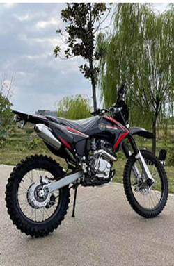 Кроссовый бензиновый мотоцикл Model №1_250СС