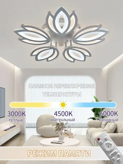 Люстра потолочная светодиодная и управлением пульт,144 Вт,регулируемая яркость и цветовой температуры 3000K-6000K,AYHOME