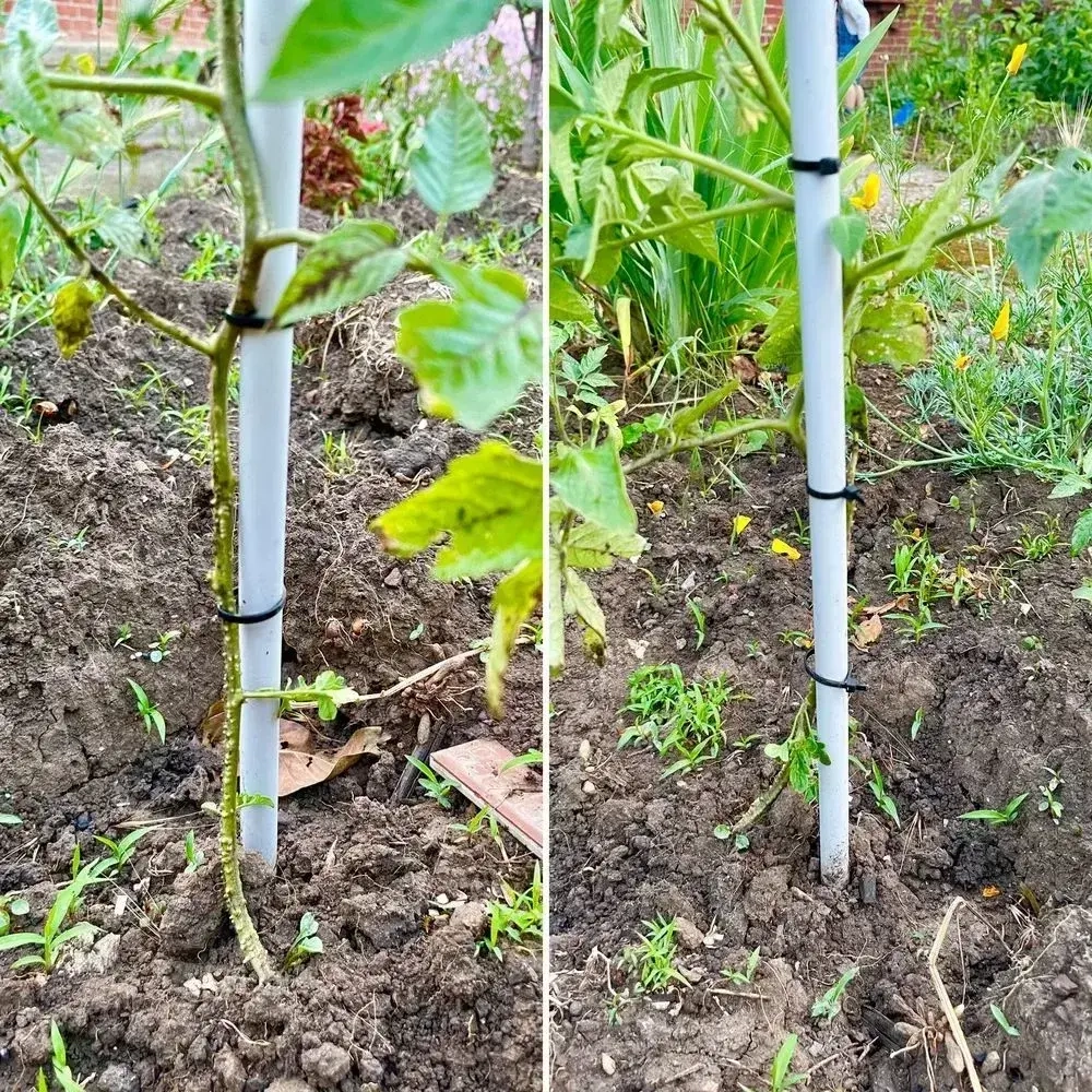 Хомут стяжка пластиковая, хомут нейлоновый черный 2,5х150мм