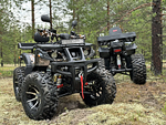 Квадроцикл PROMAX 320 DOMINATOR PRO (2025)