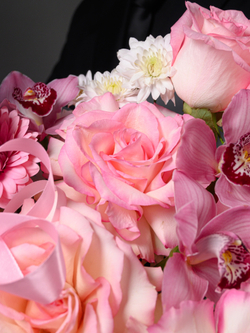 Лепестки любви