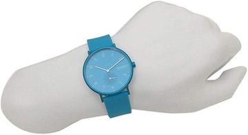 Мужские часы Skagen SKW6555