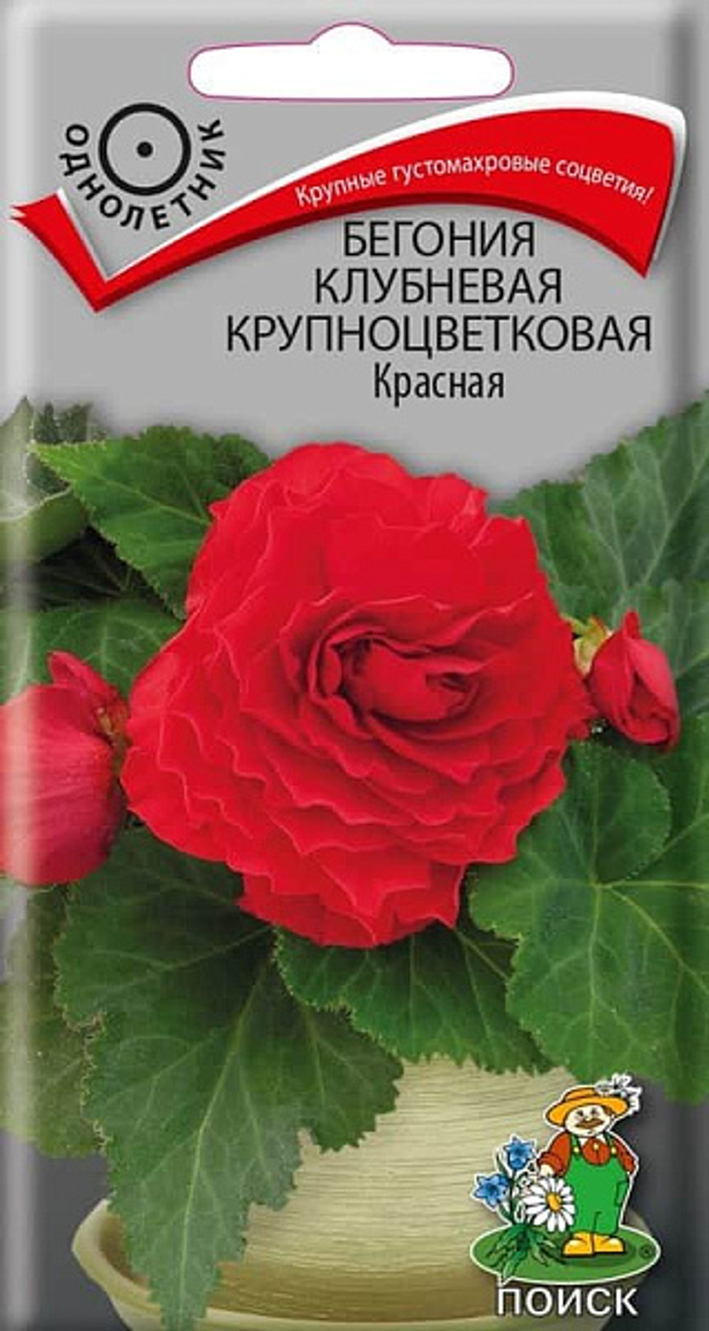 Бегония клубневая крупноцветковая Красная 5шт.