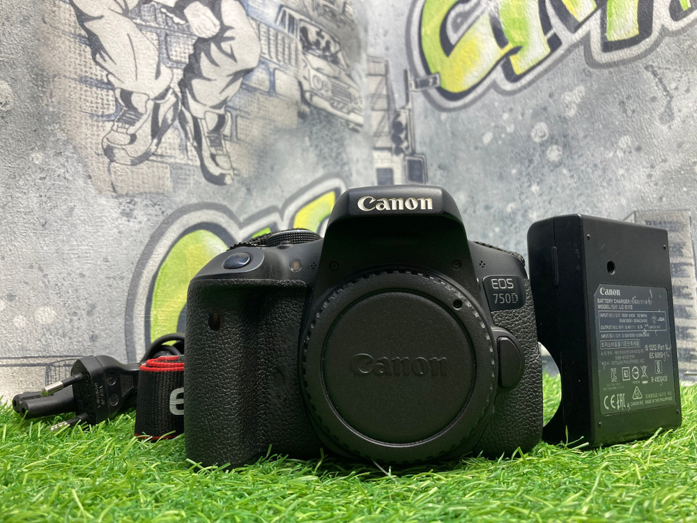 Canon EOS 750D (97.800 кадров)