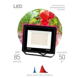 Фитопрожектор для растений светодиодный ЭРА FITO-50W-RB-LED для цветения и плодоношения красно-синего спектра 50 Вт | Фито прожекторы