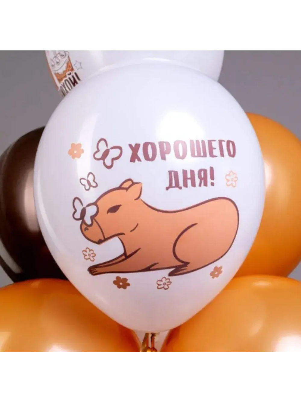 Набор шаров Капибара