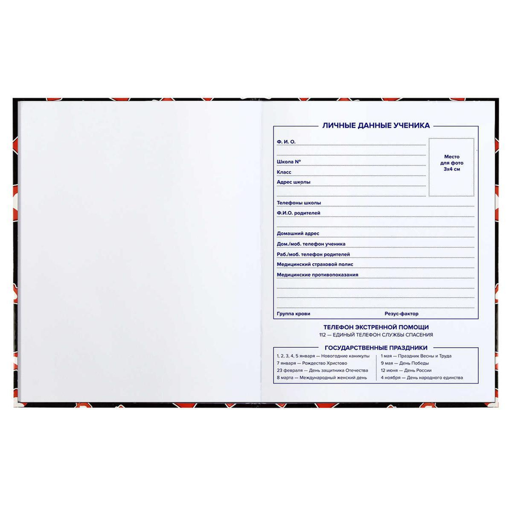 Дневник школьный 5-11 класс 48л "Лайк" (Феникс+)