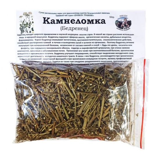 Бедренец (камнеломка)