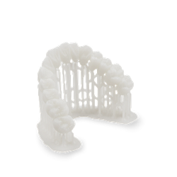 Dental Bleach