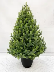 Ель Кремлевская 90 см. в кашпо, 100% литая хвоя, TreeDeLux (70187)
