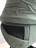 Коляска детская Peppy Monaco 2 в 1 Oliva Green (зеленый), рама черная