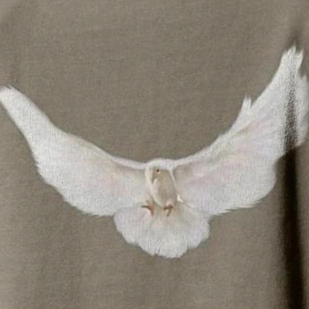 YEEZY x GAP x Balenciaga Dove Padded Heavy Fleece Tee, коричневый