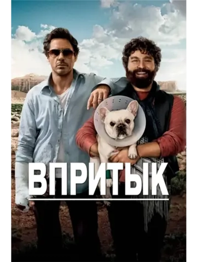 Впритык (2010) (DVD-R)