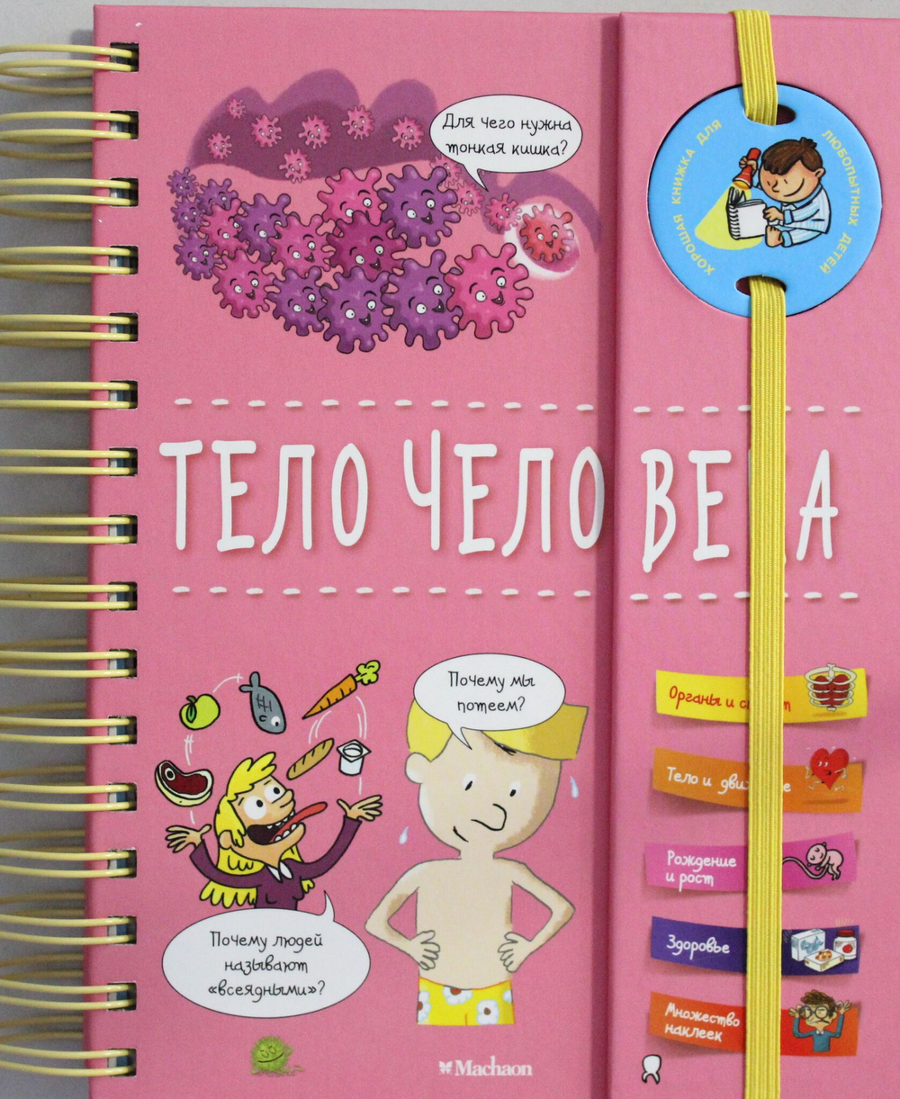 Тело человека