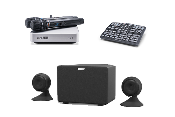 Комплект караоке Evolution Evobox Classic [Silver] + стереосистема EvoSound Sphere