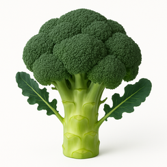 ЛАКИ F1 семена капусты брокколи (Bejo / ALEXAGRO)