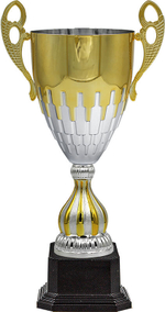 Кубок Флинт