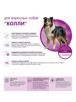 Сухой корм для собак породы Колли, с говядиной, 2,5 кг