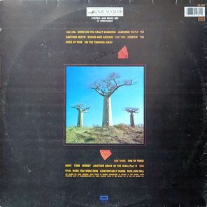 Pink Floyd / Delicate Sound Of Thunder (2LP)