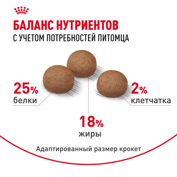 Сухой корм Royal Canin Medium Digestive Care для взрослых собак средних пород с чувствительным пищеварением
