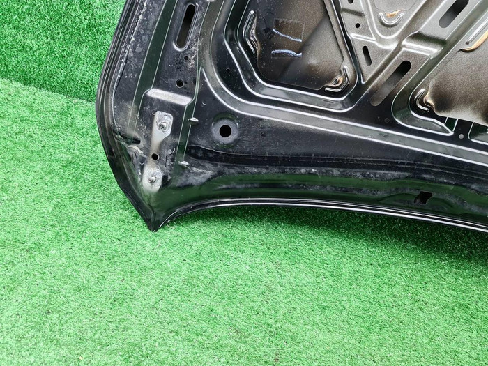 Капот GAC GN8 (2019-2023)